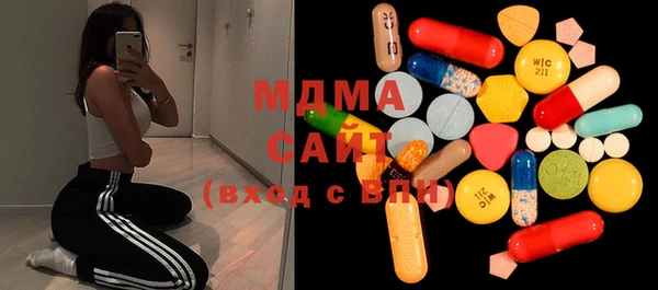 ГАЛЛЮЦИНОГЕННЫЕ ГРИБЫ Лагань