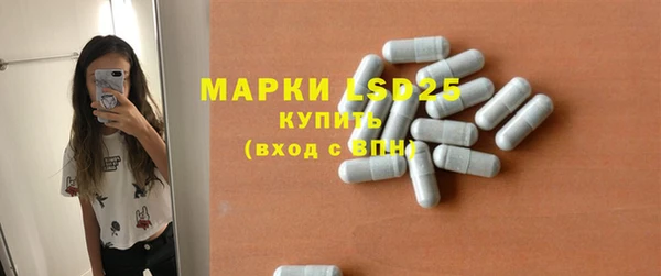 ГАЛЛЮЦИНОГЕННЫЕ ГРИБЫ Лагань