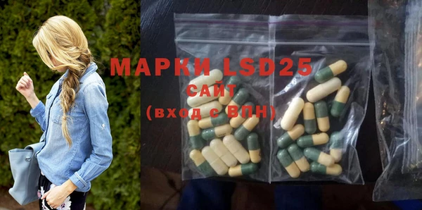 ГАЛЛЮЦИНОГЕННЫЕ ГРИБЫ Лагань