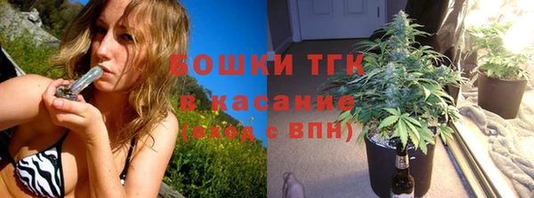 ГАЛЛЮЦИНОГЕННЫЕ ГРИБЫ Лагань