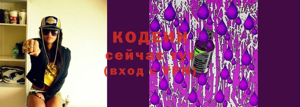 ГАЛЛЮЦИНОГЕННЫЕ ГРИБЫ Лагань
