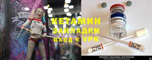 ГАЛЛЮЦИНОГЕННЫЕ ГРИБЫ Лагань