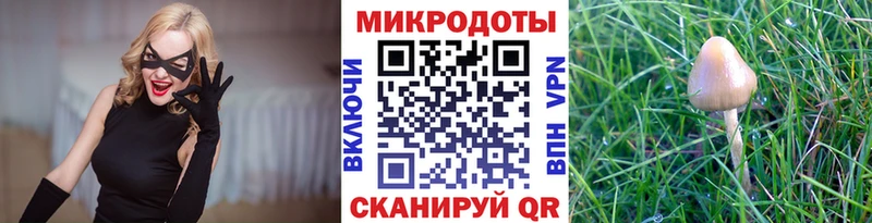Галлюциногенные грибы Magic Shrooms  это официальный сайт  Тимашёвск 